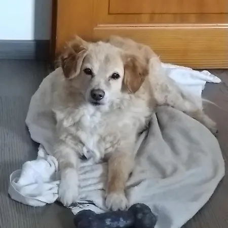 Aux Coeurs De La Vallee * Fouchy