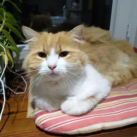 Aux Coeurs De La Vallee Fouchy