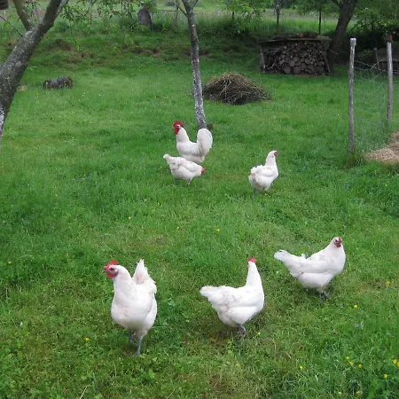 Aux Coeurs De La Vallee Апартаменты *