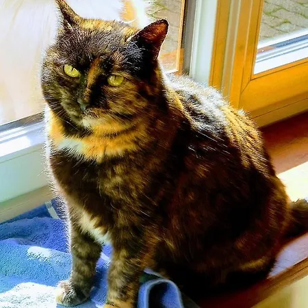 Aux Coeurs De La Vallee Апартаменты Fouchy