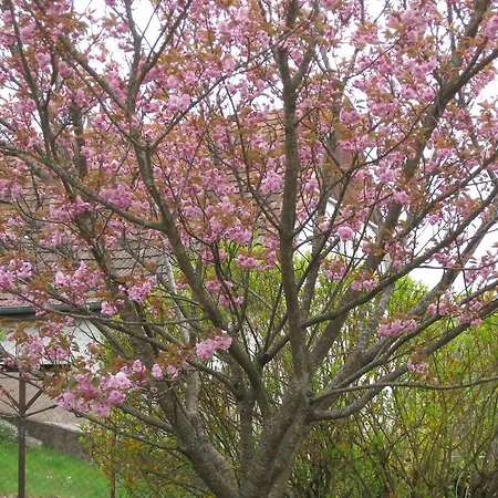 Aux Coeurs De La Vallee Apartman *