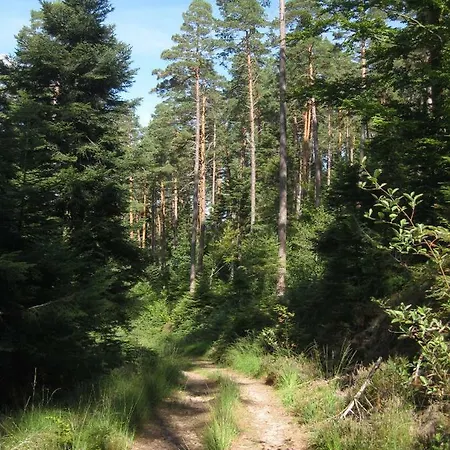 Aux Coeurs De La Vallee *